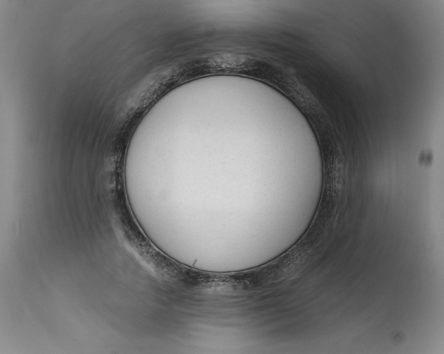 X0000113140738200909251304