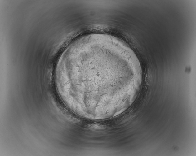 X0000113140739200909251304