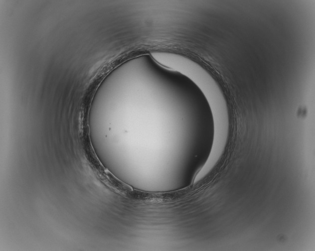 X0000113140740200909251304