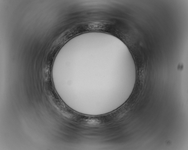 X0000113140741200909251304