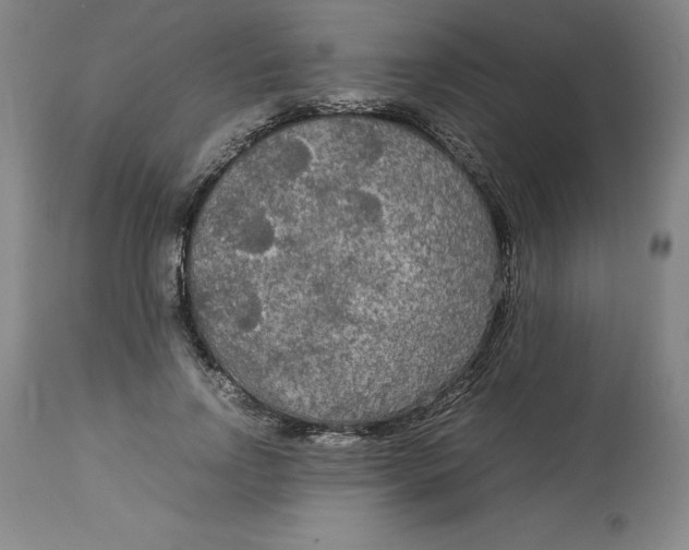 X0000113140742200909251304