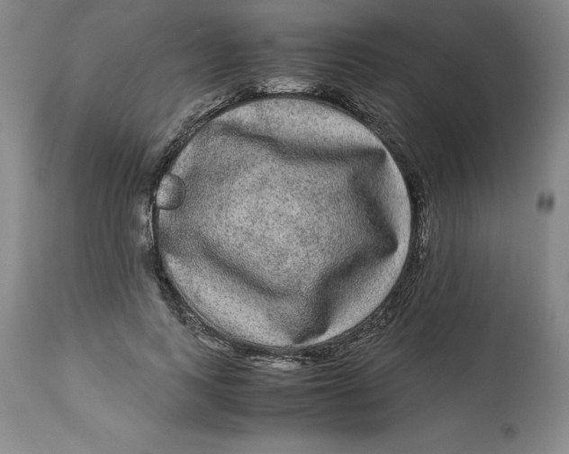 X0000113140743200909251304