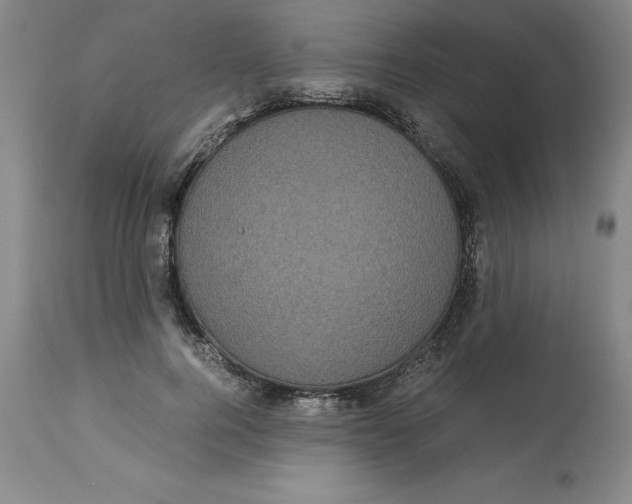 X0000113140744200909251304