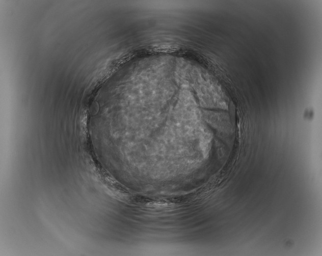 X0000113140745200909251304