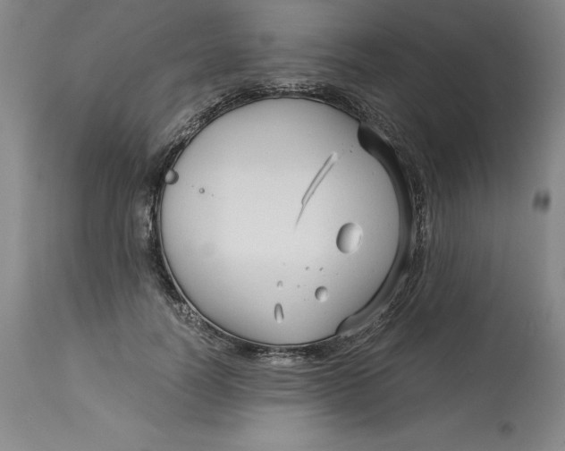 X0000113140746200909251304