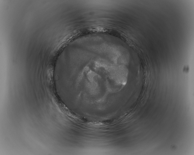 X0000113140747200909251304