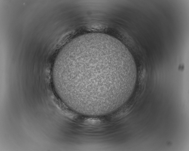 X0000113140749200909251304