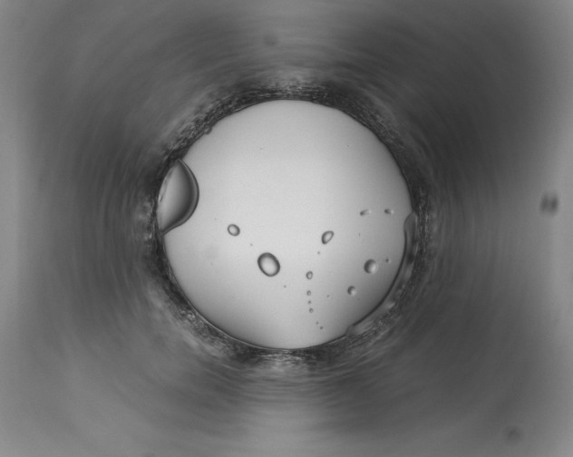 X0000113140750200909251304