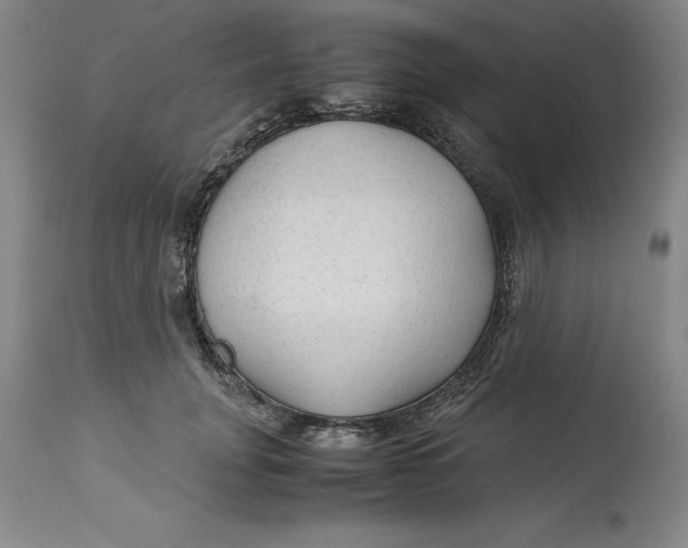 X0000113140751200909251304