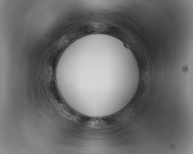 X0000113140752200909251304