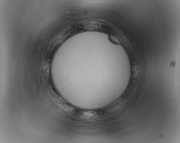 X0000113140753200909251304