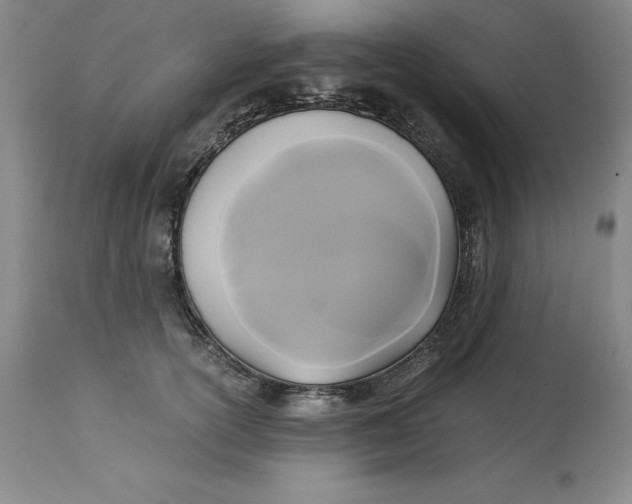 X0000113140754200909251304