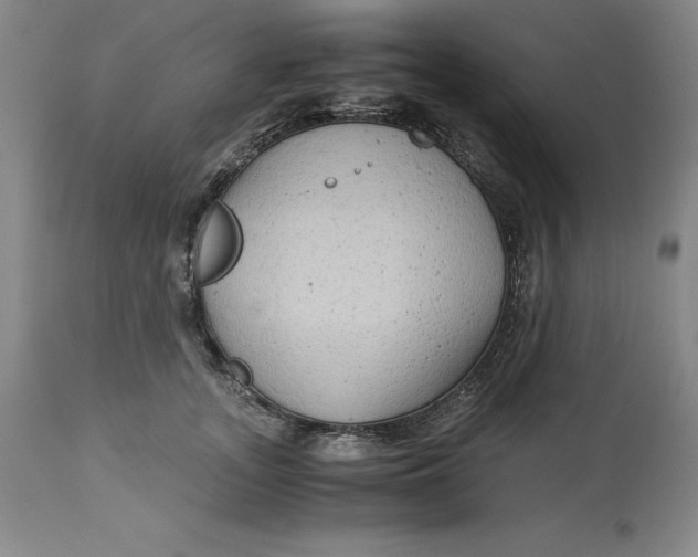 X0000113140755200909251304