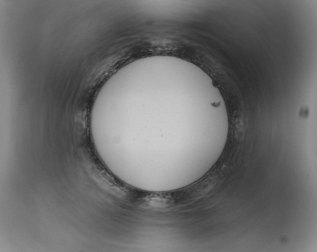 X0000113140756200909251304