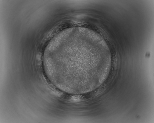 X0000113140757200909251304