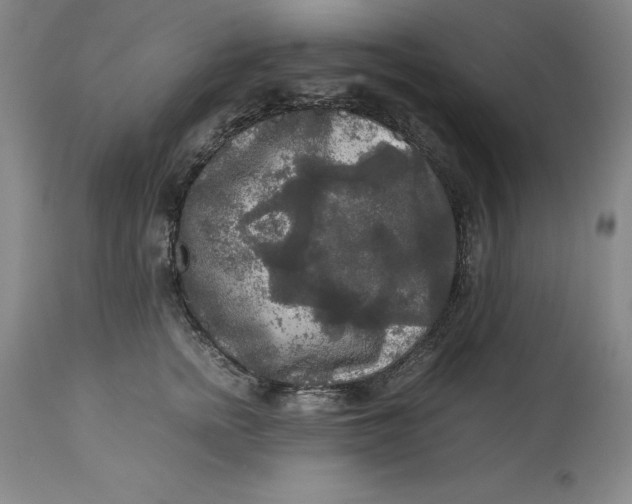 X0000113140758200909251304