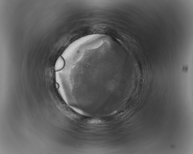 X0000113140759200909251304