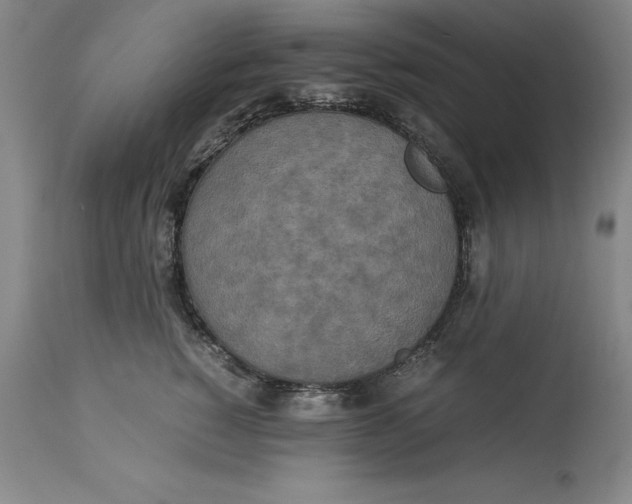 X0000113140760200909251304