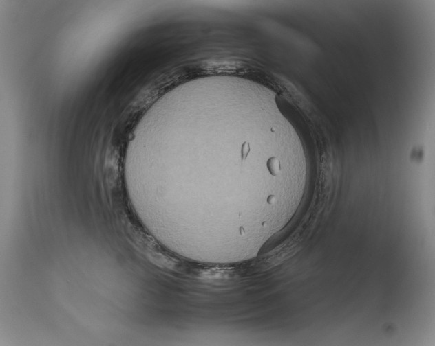 X0000113140761200909251304