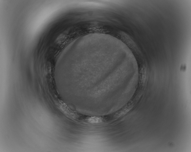 X0000113140762200909251304