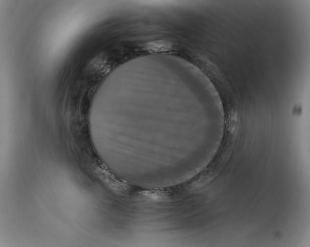 X0000113140763200909251304