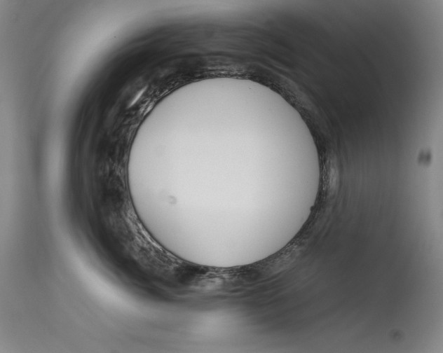 X0000113140764200909251304