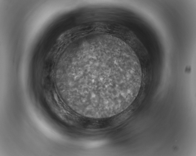 X0000113140765200909251304