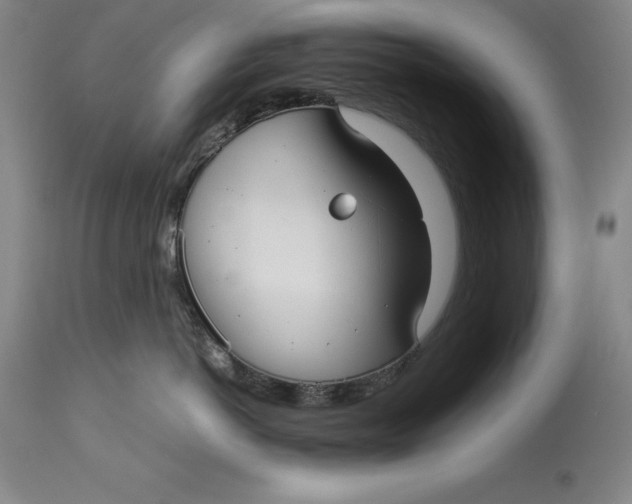 X0000113140766200909251304