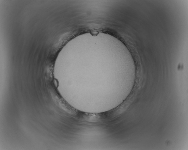 X0000113140768200909251304