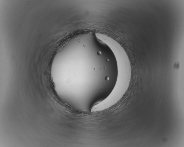 X0000113140769200909251303