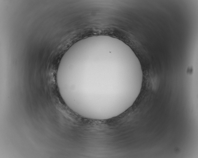 X0000113140770200909251303