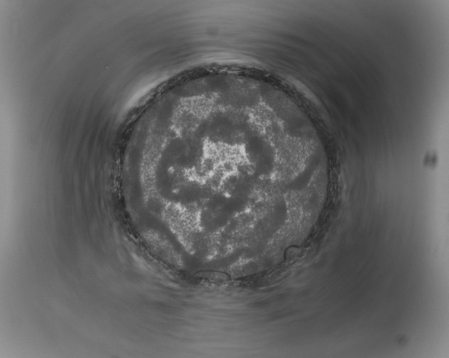 X0000113140775200909251303