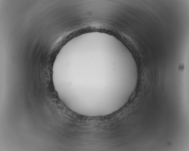 X0000113140776200909251303