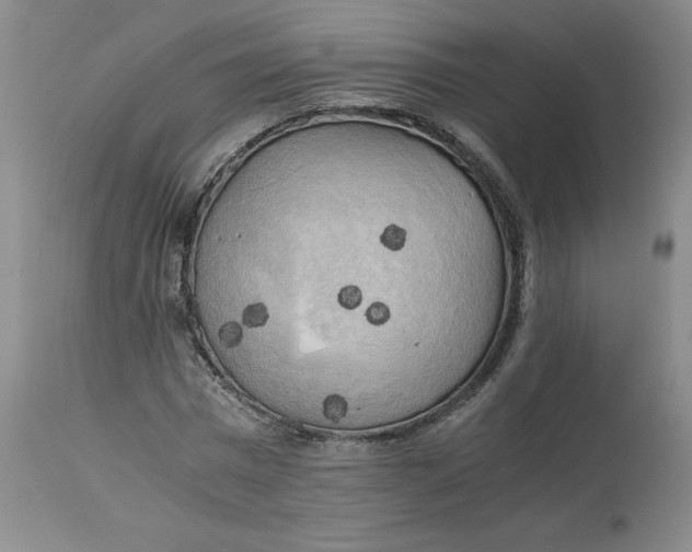 X0000113140777200909251303