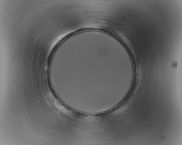 X0000113140779200909251303