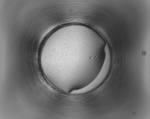 X0000113140780200909251303