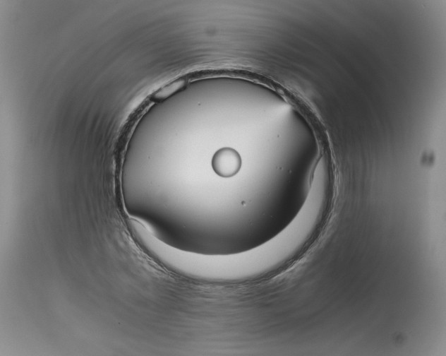 X0000113140781200909251303