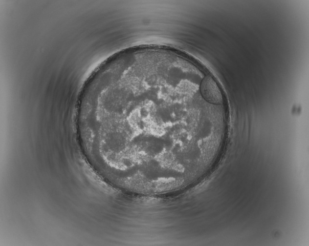 X0000113140783200909251303