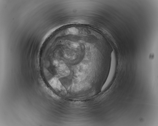 X0000113140784200909251303