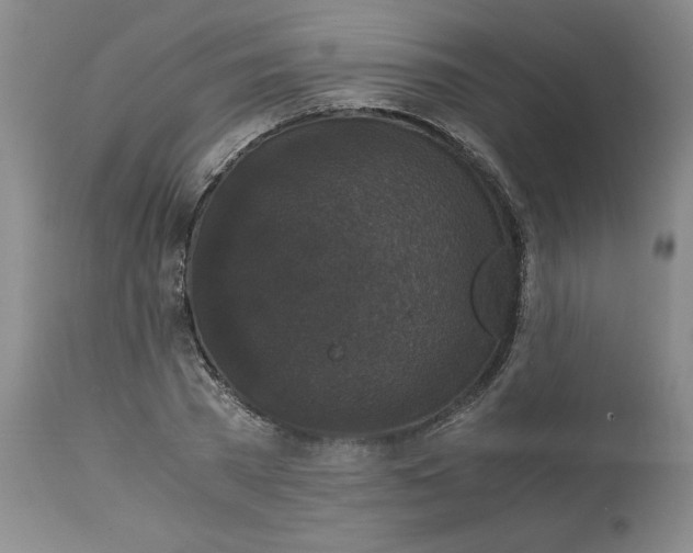 X0000113140785200909251303