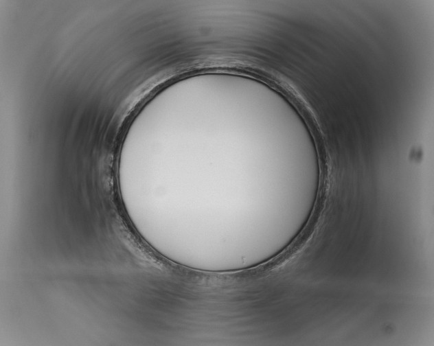 X0000113140786200909251303