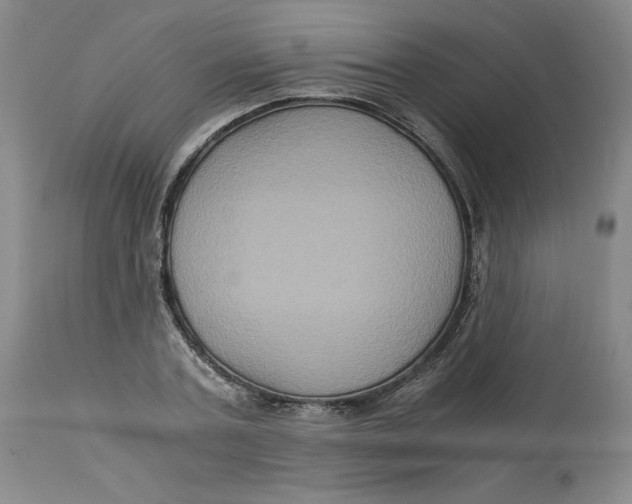 X0000113140787200909251303