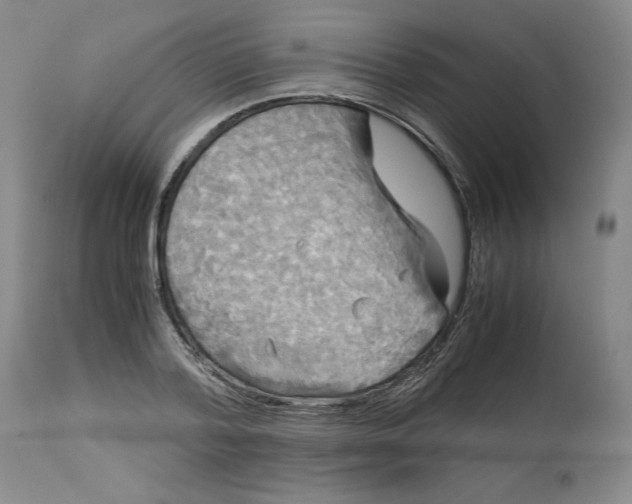 X0000113140788200909251303