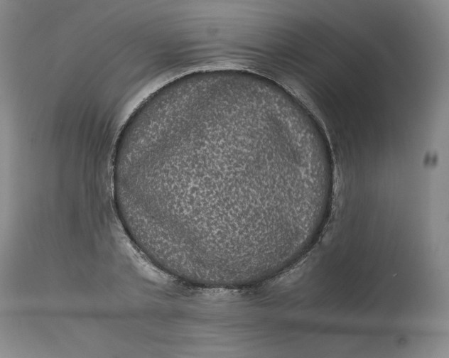 X0000113140789200909251303