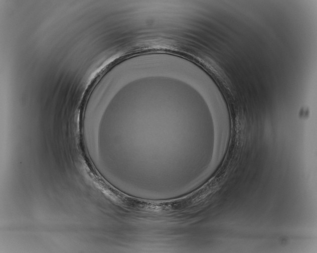 X0000113140790200909251303