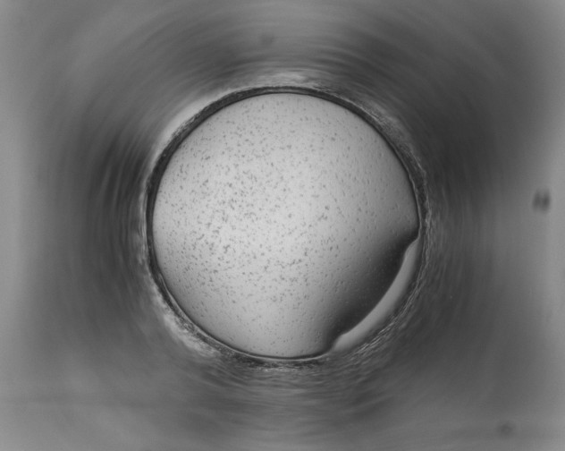 X0000113140792200909251303