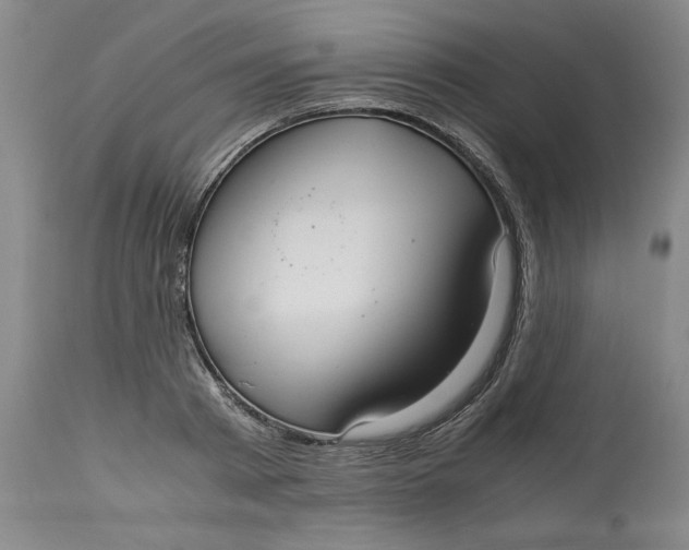 X0000113140793200909251303