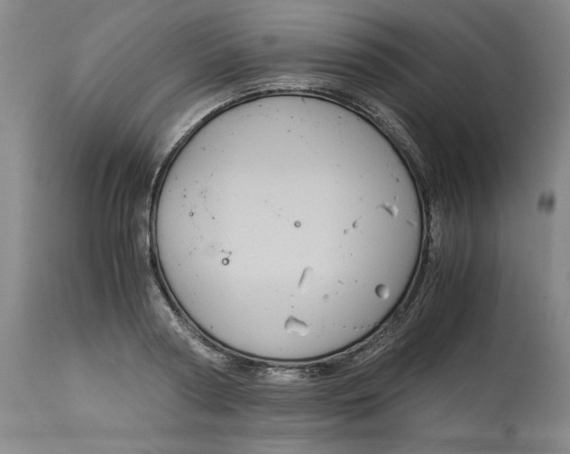 X0000113140794200909251303