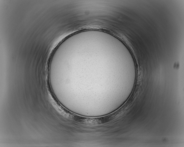 X0000113140795200909251303