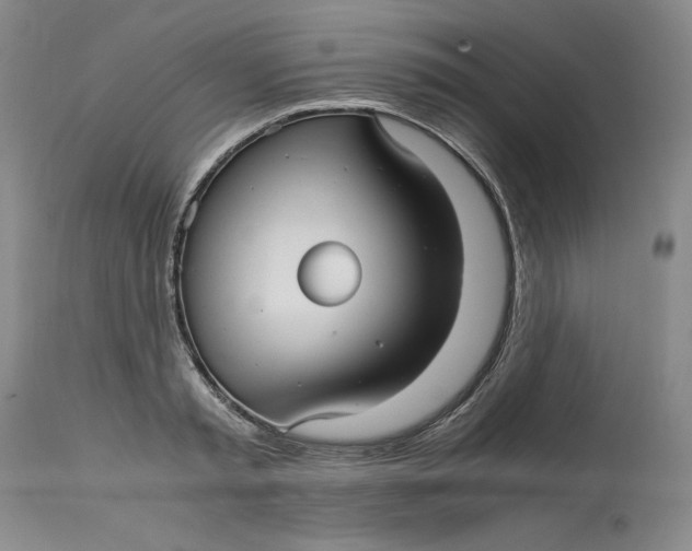 X0000113140797200909251303